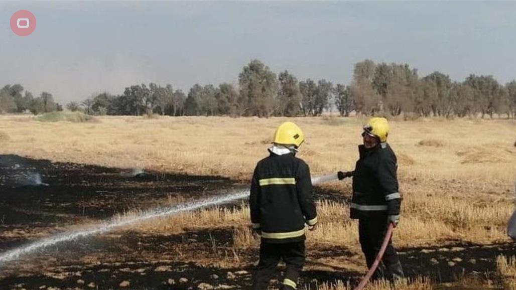 فرق الدفاع المدني تنقذ 235 دونما من محصول الحنطة