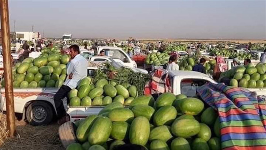 الزراعة النيابية تحذر من تأثر الخطة الزراعية بنقص المياه الاستراتيجي