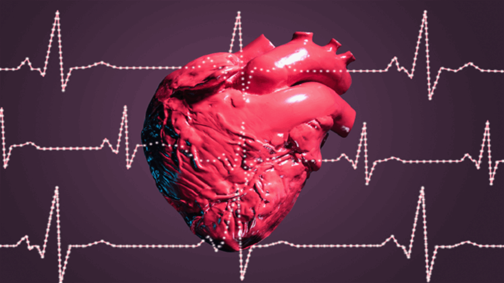 دراسة تكشف كيف يمكن لقلب الإنسان أن يصلح نفسه