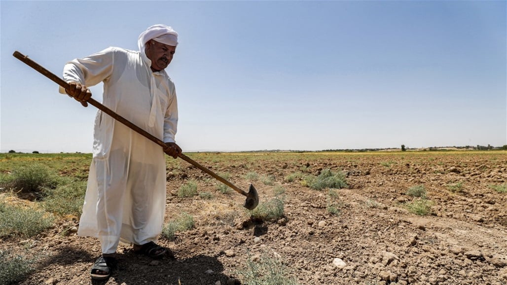 هل كافحت القوانين العراقية التصحّر والاعتداء على البيئة؟.. إليك الإجابة من قضاة ومختصين 