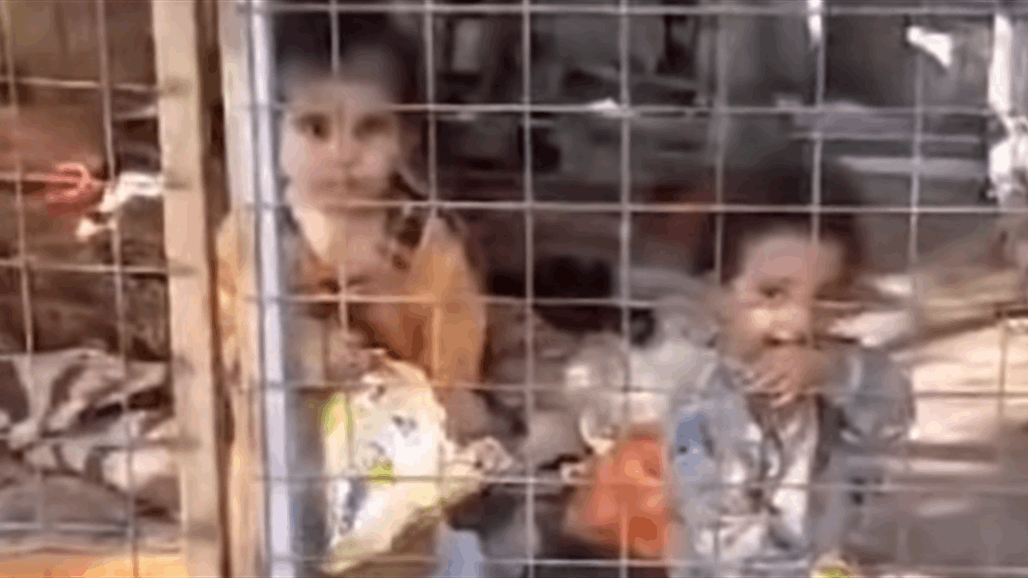 تركتهم والدتهم منذ يومين.. العثور على طفلين محبوسين داخل قفص ببغداد (فيديو) 
