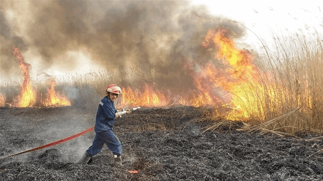 حريق كبير يلتهم مساحات واسعة من حقول الحنطة في حاوي القيارة (فيديو)
