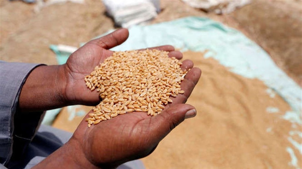 Some of it is stolen from the state and sold to it twice.. Horrors about corruption in wheat marketing in Iraq