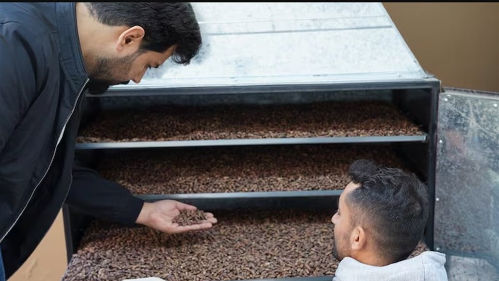 لن يرمى او يزرع.. &quot;نوى التمر&quot; يجد مسارًا جديدًا في العراق ويتحول إلى قهوة!