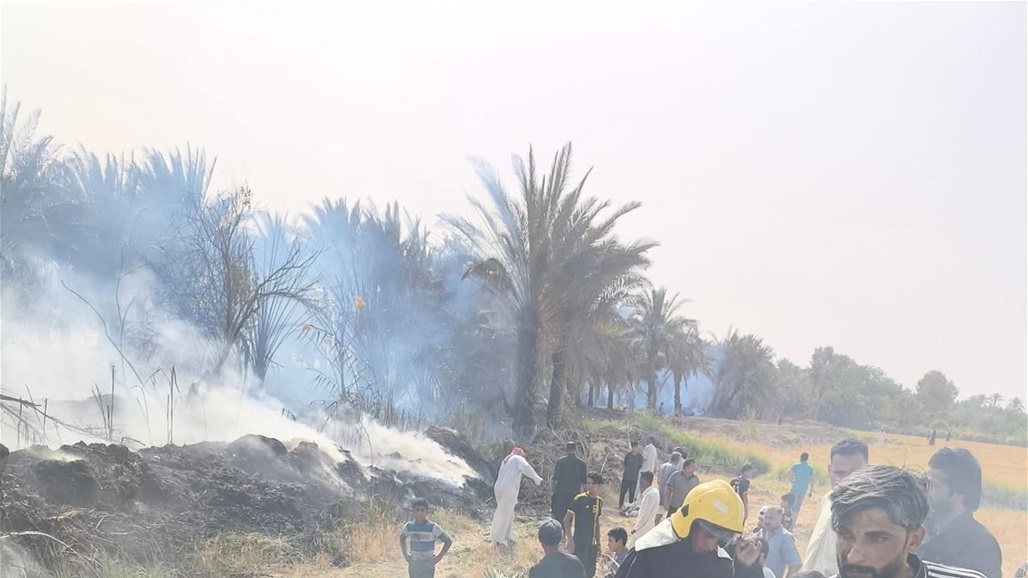 حريق يلتهم 5 بساتين غربي الديوانية