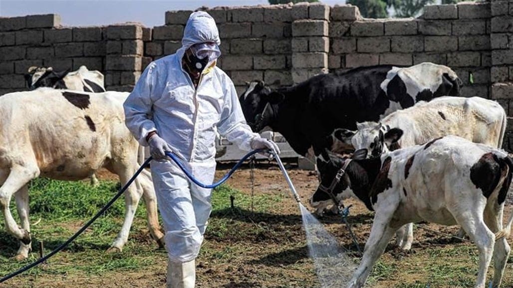 تسجيل إصابة بالحمى النزفية في واسط
