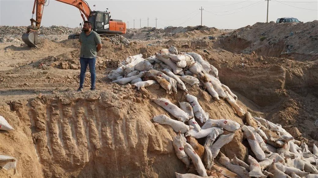 في بغداد.. اتلاف 50 طناً من اللحوم المستوردة