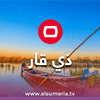 وفاة أستاذ جامعي مصري في ذي قار