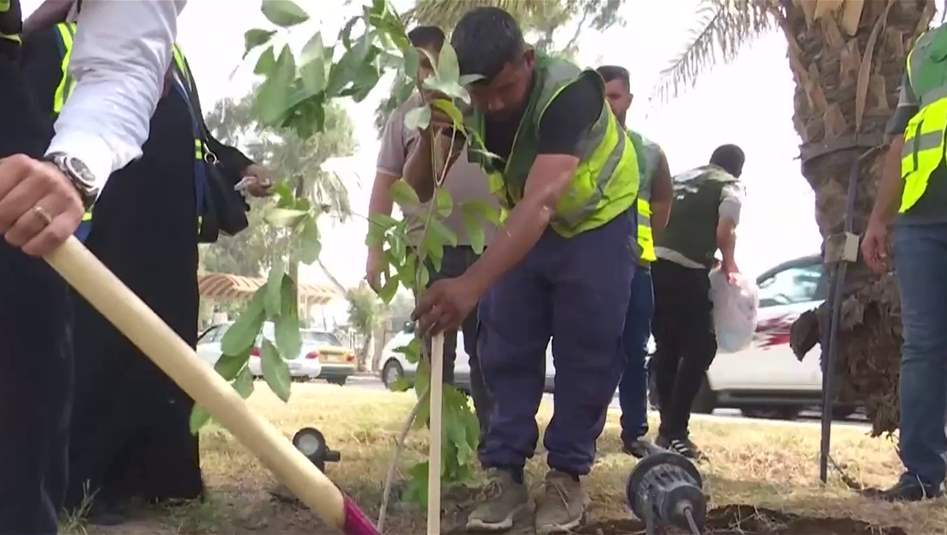 حملة تشجير كبرى في بغداد