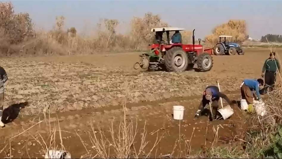 الحكومة تبدأ بتطبيق قرارات جديدة لتغيير طرق الري التقليدية في العراق