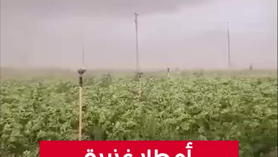 أمطار غزيرة ورياح قوية تجتاح الموصل