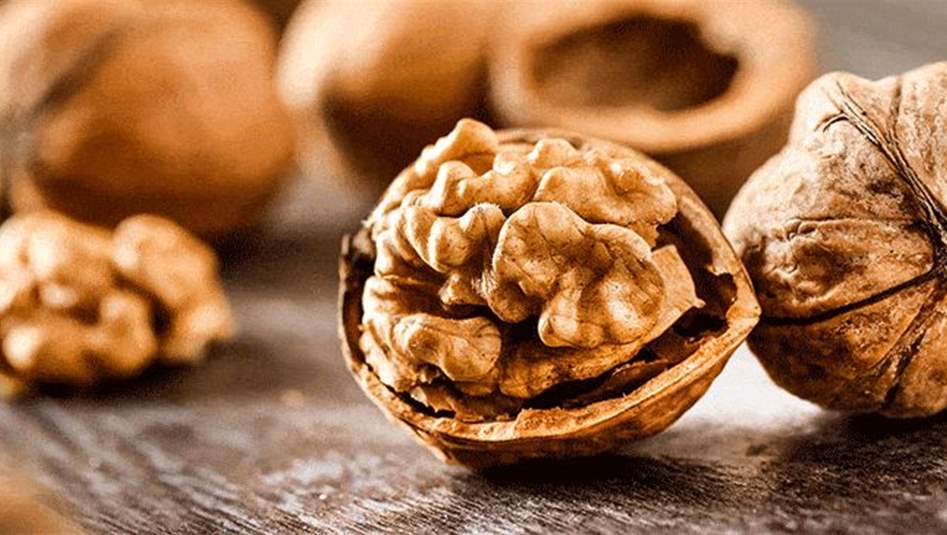 للسرعة في التفكير وتحسين الآداء العقلي.. ابدأ يومك بالجوز!