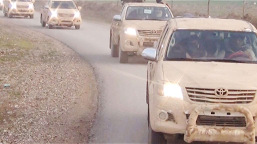 أمنية صلاح الدين: اعتقالات واشتباكات في صفوف داعش في المحافظة