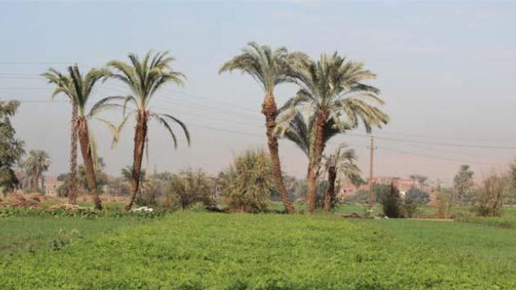 مسؤول محلي بديالى يحذر من زوال إحدى أقدم قرى المحافظة مع بداية 2017