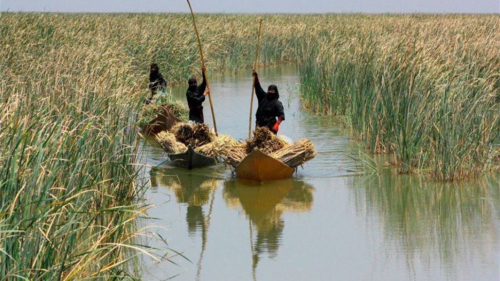 بالصور.. نوروز يحيي اهوار الجبايش