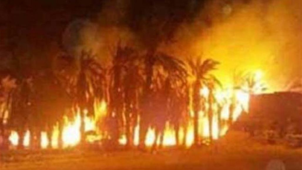 اندلاع حريق داخل بستان زراعي شمالي بغداد