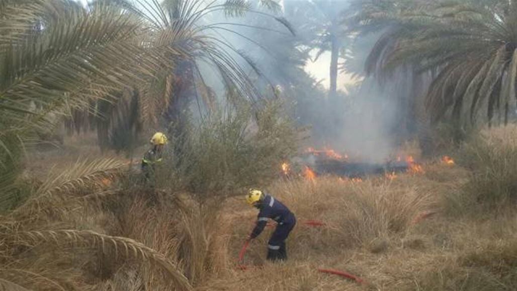 مجلس ديالى يعلن إلتهام 300 دونم من البساتين بحرائق "متعمدة" خلال 2018